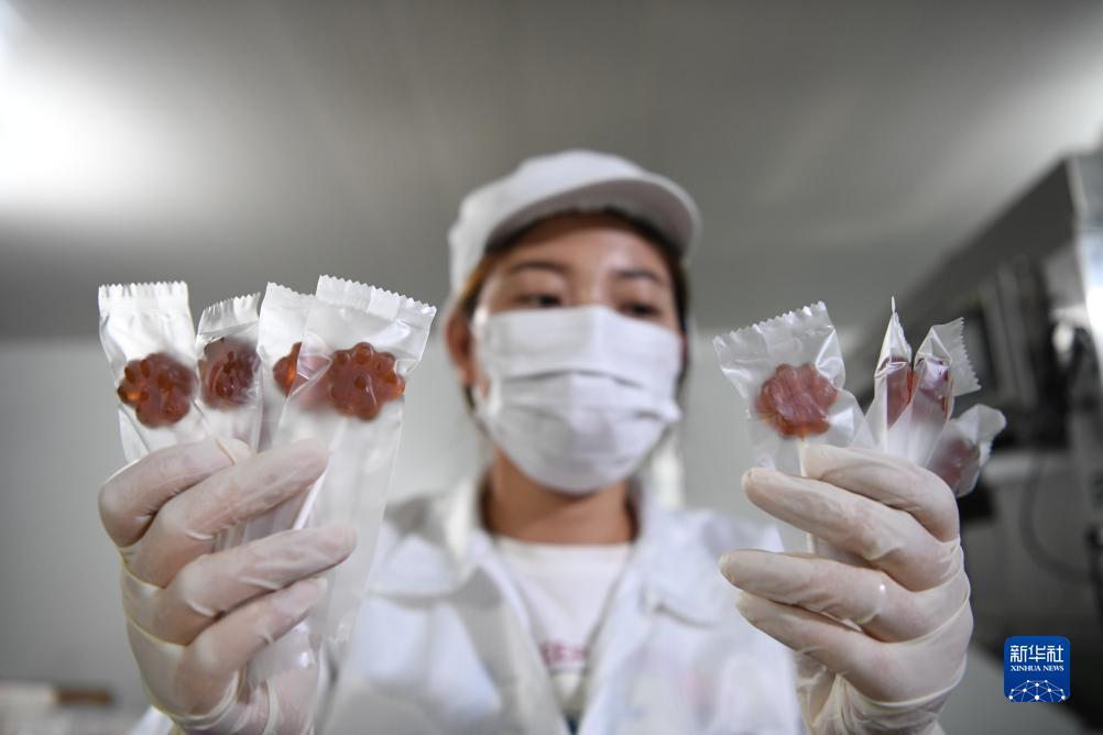 捕鱼达人3d电脑版在线